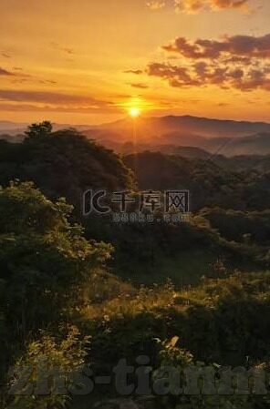 成人免费观观看视频播放-网络时代的灰色地带与界限探讨