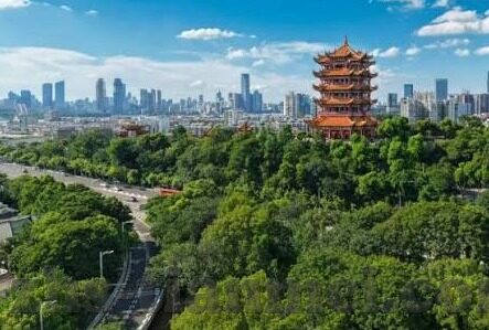 国产片精品一区二区-国产片精品一区二区，文化自信与艺术探索的双重绽放
