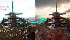 含羞草麻豆传媒-含羞草之下的视频传媒文化解析