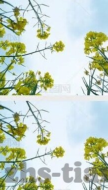 麻豆传媒网站在线-麻豆传媒多元化内容平台——网络影视的丰富体验