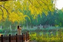 麻豆视频91-麻豆视频91，数字时代下的文化邂逅与反思