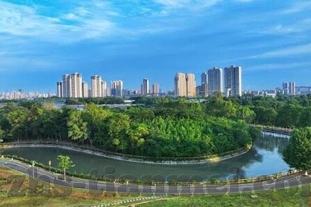 麻豆系列 果冻传媒-麻豆系列，在果冻传媒中绽放的视觉盛宴与艺术洞察