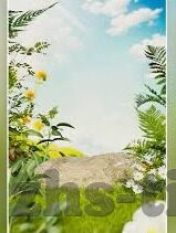 免费一区二区三区视频-探索网络视频的多元化世界，一区、二区、三区的精彩纷呈