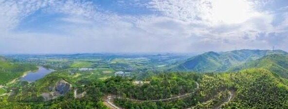 仙踪林麻豆剧果冻传媒观看-仙踪林、麻豆剧与果冻传媒，多样娱乐的独到视角